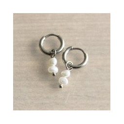 RVS creolen met 2...