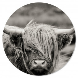 Muurcirkel koe zwart/wit 30cm