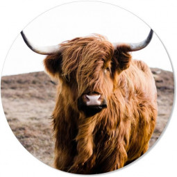 Muurcirkel koe bruin 30cm