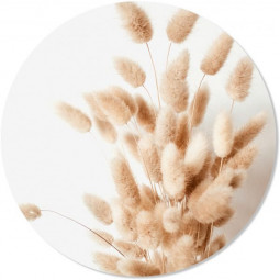 muurcirkel lagurus 30cm