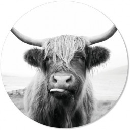 Muurcirkel happycow 30cm